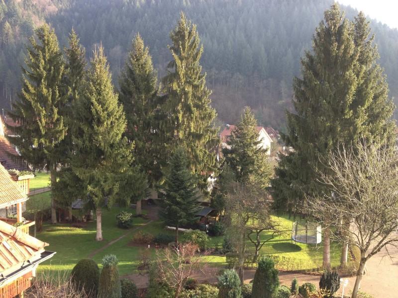 Hotel Garni Cafe Schacher Oberwolfach Ngoại thất bức ảnh